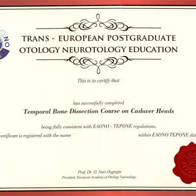Figure 42. Trans European Postgraduate Otology Neurotology Education (TEPONE)